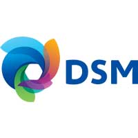 dsm industrie nutrition